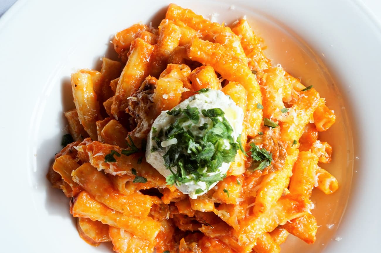 Rigatoni in pomodoro with whipped ricotta and basil
